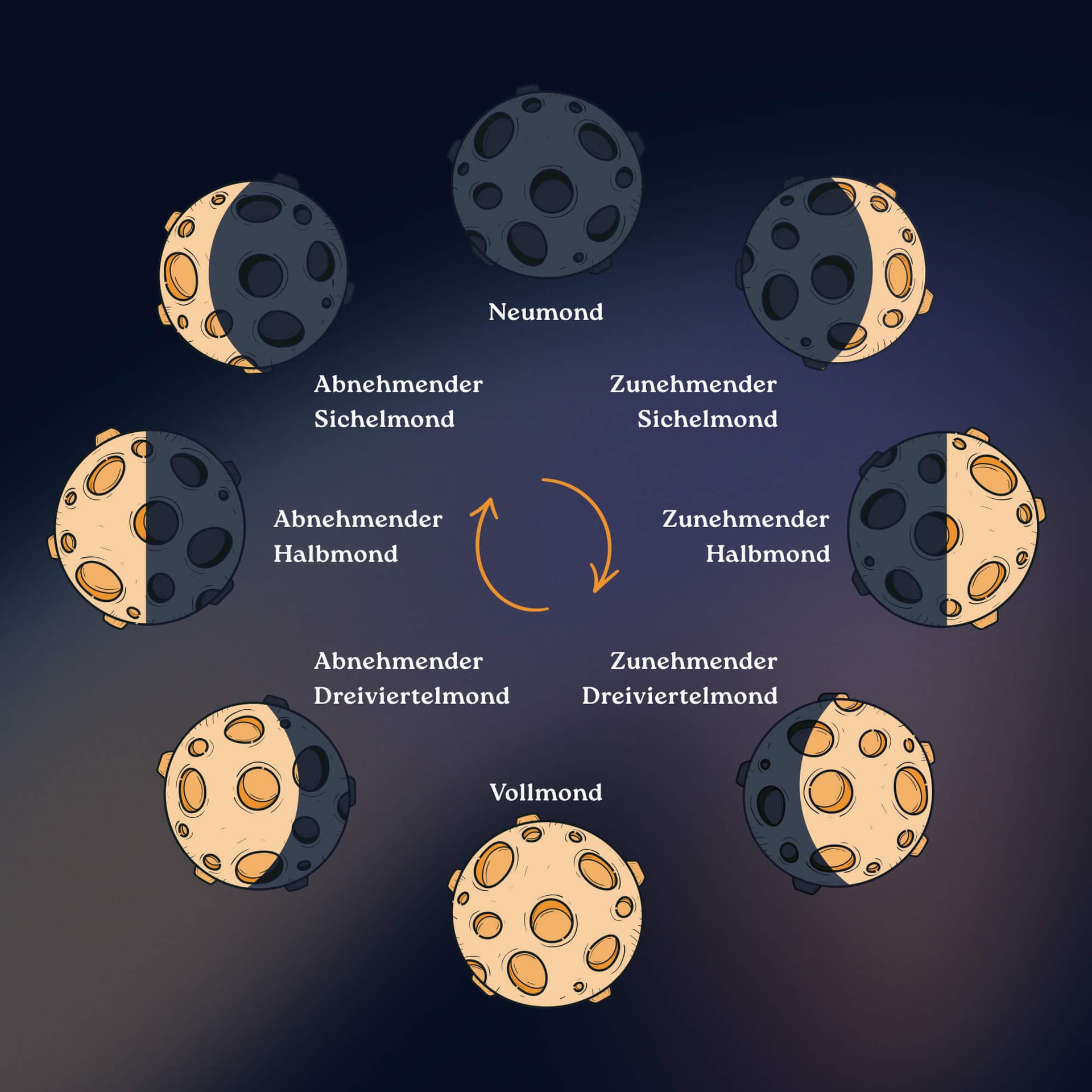 Mondphasen in der nördlichen Hemisphäre