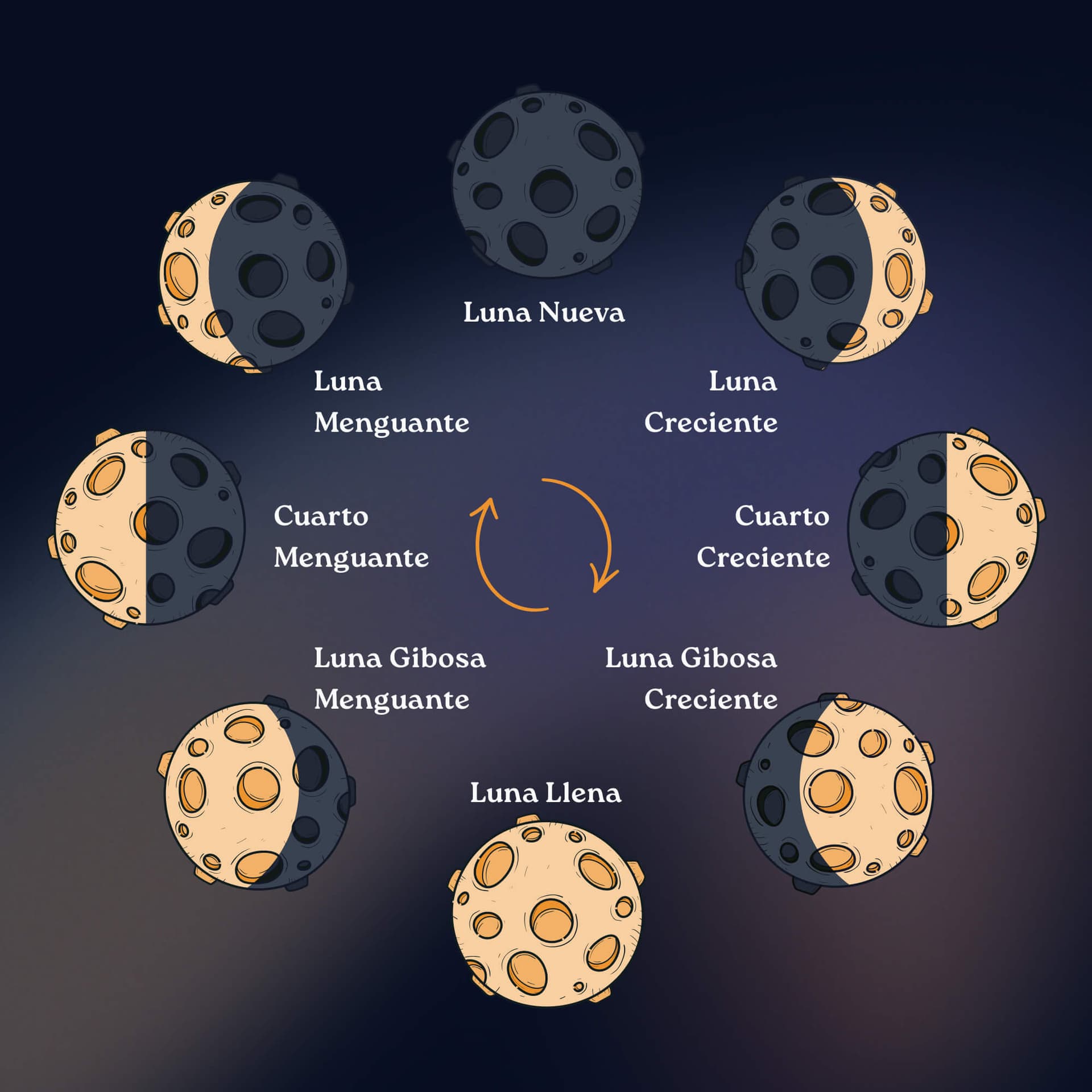 Fases lunares en el hemisferio norte